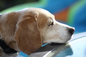 endofJune2010112.jpg