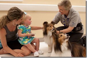 CHOC Childrens Hospital Therapy Dogs-028
