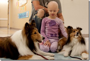 CHOC Childrens Hospital Therapy Dogs-083