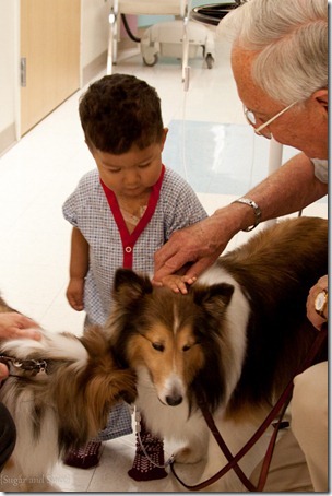CHOC Childrens Hospital Therapy Dogs-130