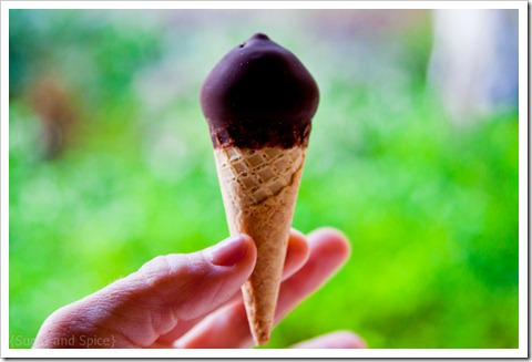 Trader Joes mini ice cream cones--4