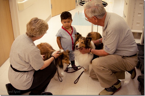 CHOC Childrens Hospital Therapy Dogs-129