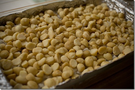 Macadamia Nut Congo Bars-022