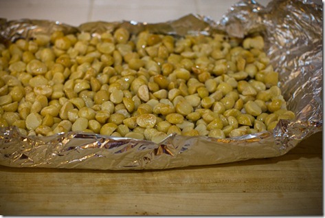 Macadamia Nut Congo Bars-105