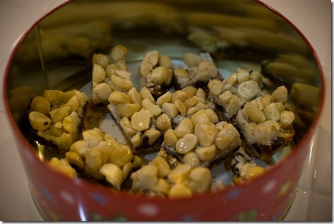 Macadamia Nut Congo Bars-130
